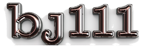 bj11 logo